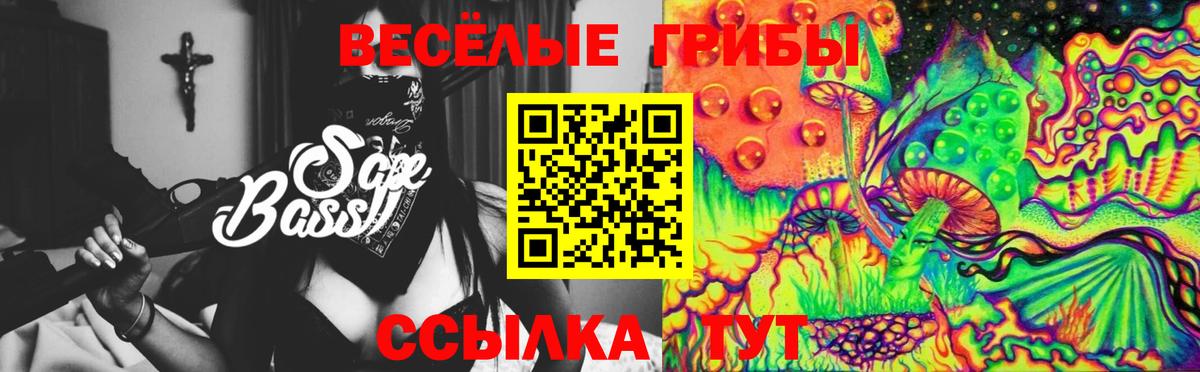 Псилоцибиновые грибы Psilocybine cubensis  закладки  Псилоцибиновые грибы мицелий  Братск  Вход с VPN 